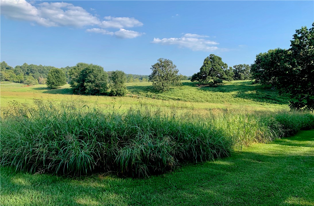 Tontitown Outlots - Land