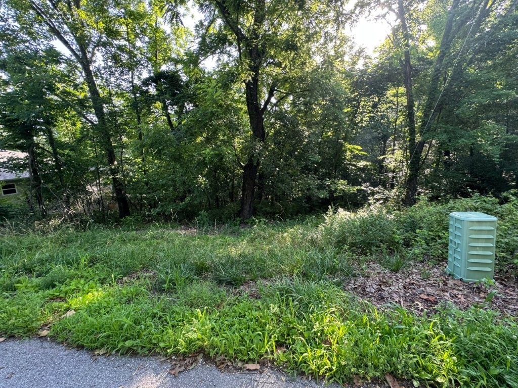 Build your dream home or weekend getaway on this 0.26-acre lot. Located just south of Lake Windsor, and near Tunnel Vision and Tweety Bird bike trails. Enjoy all Bella Vista has to offer, including 7 lakes, 5 golf courses, and premier recreation facilities with pools and tennis.