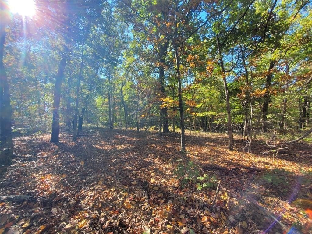 Build your dream home with plenty of outdoor spce on the 5.05 acres! The property lays really nice and would be an amazing location just outside of Fayetteville! Approximately 10 minutes to I49 at Wedington exit and about 15 minutes to Farmington & Prairie Grove