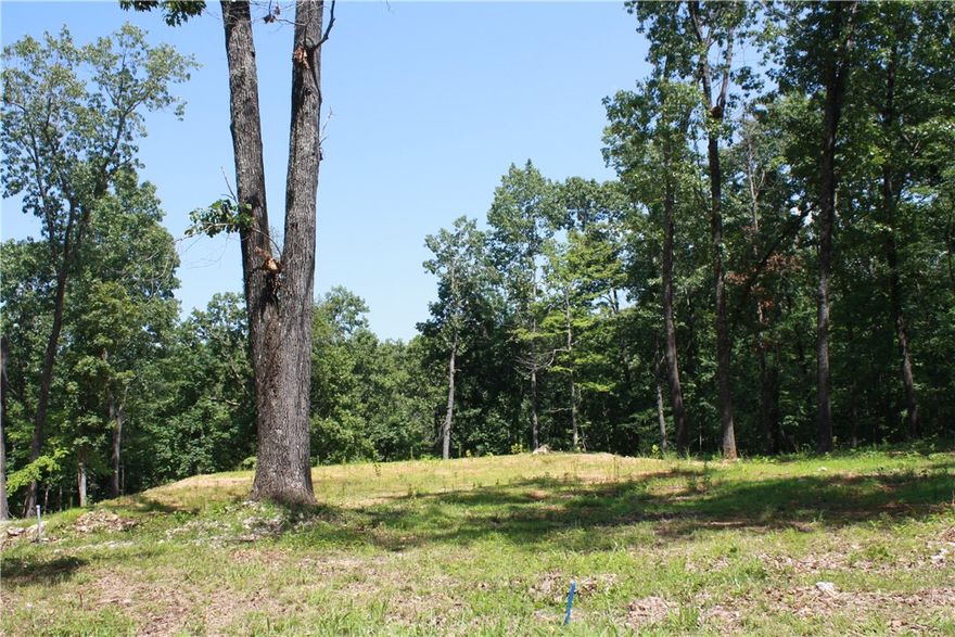 **Land Opportunity in Midway, AR - Perfect for Your Dream Home!** Just a short 14-minute drive from the vibrant community of Mountain Home, AR. Enjoy Howard Creek boat launch on Bull Shoals Lake 2 minute drive, White River launch a mere 5-minute drive, making it an ideal spot for fishing, boating, and outdoor adventures. This property features a 60 x 60 building pad prepared for a concrete slab. Additionally, an approve active septic application for a two-bedroom home.  Utilities are readily available at the road. Nestled in a quiet neighborhood, this lot offers a peaceful environment. The land has been cleared. With its prime location, approved septic application, and ready
to-build features, you could be in your home by fall.   THERE IS NOT A REAL ESTATE
SIGN PER OWNER REQUEST