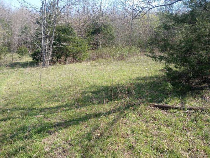 Enjoy seven connecting lots totaling 12.97 +/- acres just off the main stretch in the town of Zinc. This mostly wooded tract offers privacy yet conveniently located. With a year-round spring and no restrictions, keep the land raw for hunting or clear a little space and build your own secluded getaway cabin. Enjoy the quiet and make this beautiful piece of land yours. Electric is at the property.