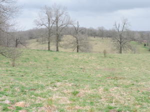 81 acre Breeder Hen Poultry Farm with a beautiful 5 bedroom, 4 bath home and (2) 40'x310' poultry houses connected by the egg gathering room. Property fronts on Crooked Creek, one of mid-America's premier small mouth bass streams. The farm has a current contract with Tyson's.