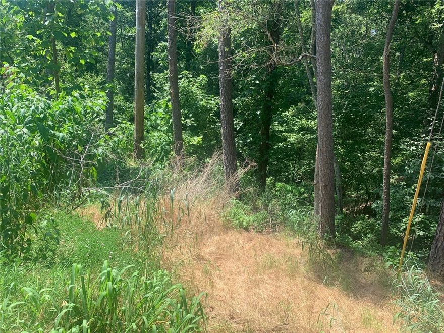 .31 ACRE LOT. Enjoy everything Bella Vista has to offer, Close to Highway 71Near Kingsland golf, Country Club, and Dogwood Golf Courses. Near Metfield recreational Facility and Pool.