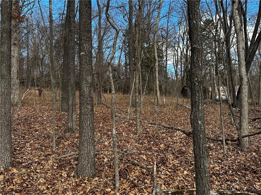 Horseshoe Bend Estate Rurban - Land