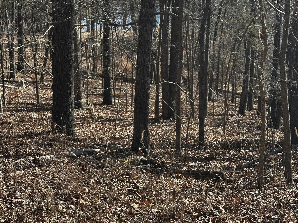 Horseshoe Bend Estate Rurban - Land