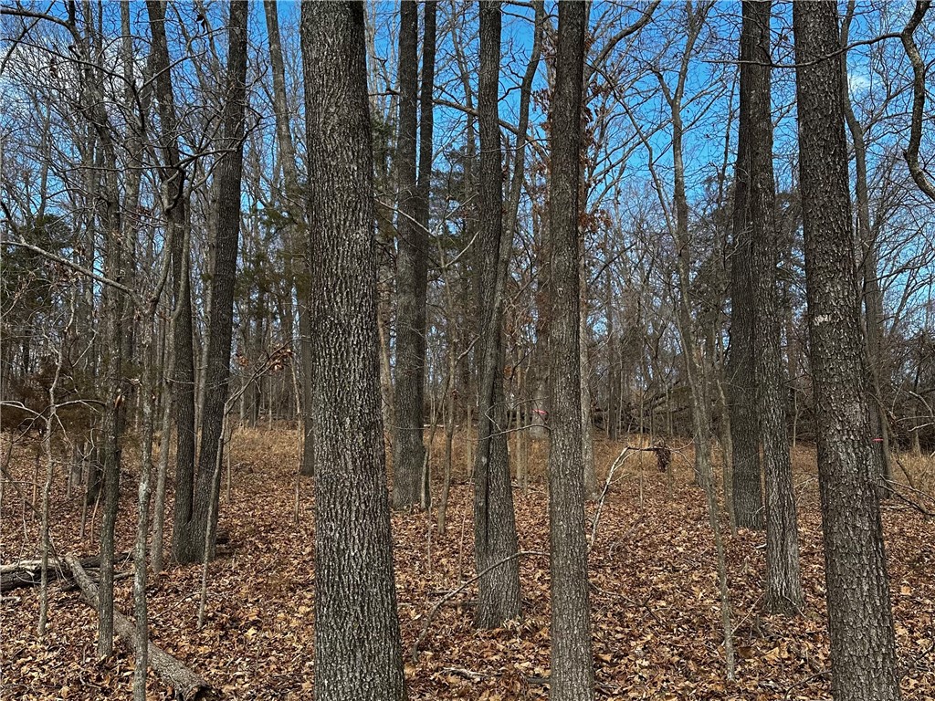 Horseshoe Bend Estate Rurban - Land