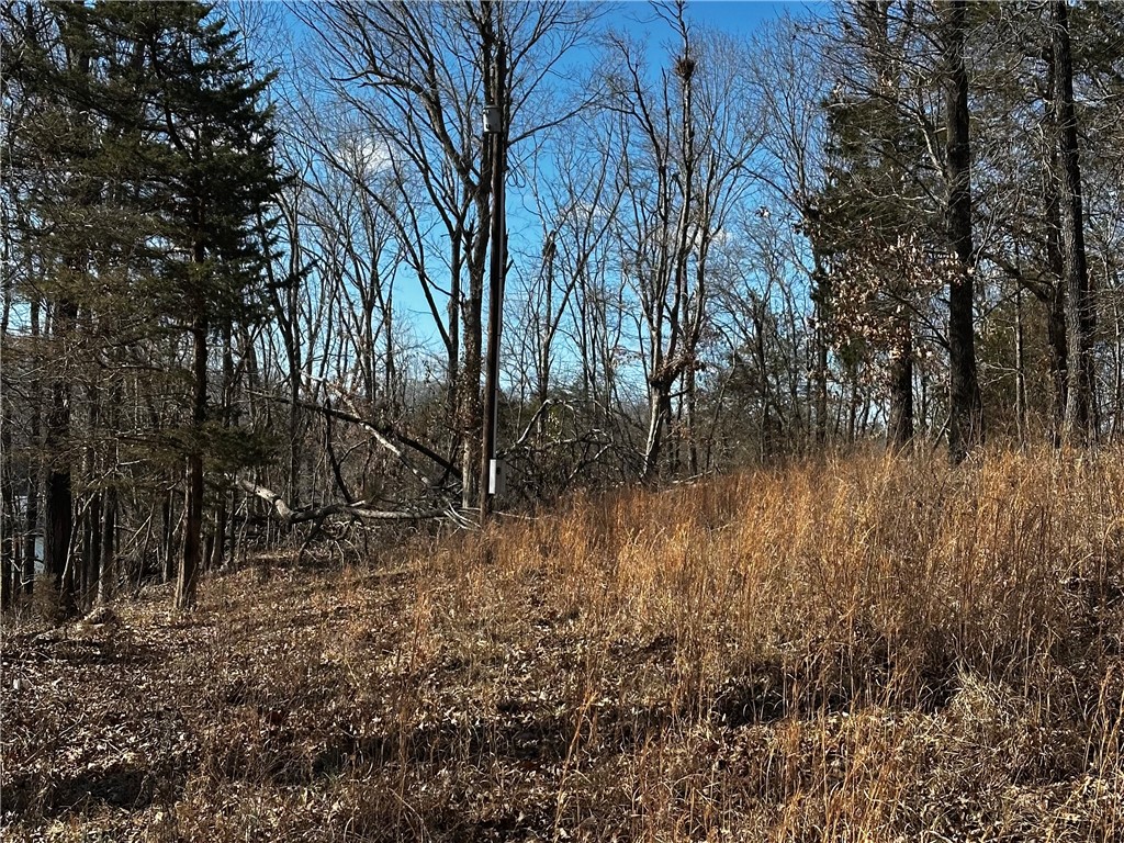 Horseshoe Bend Estate Rurban - Land