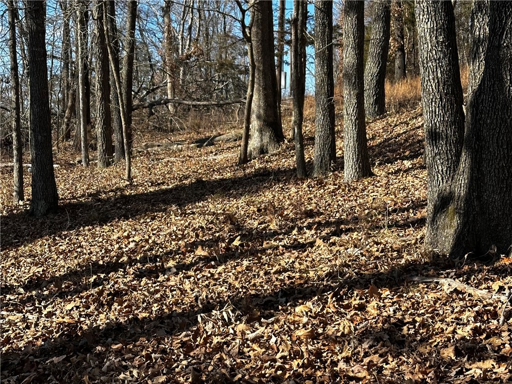 Horseshoe Bend Estate Rurban - Land