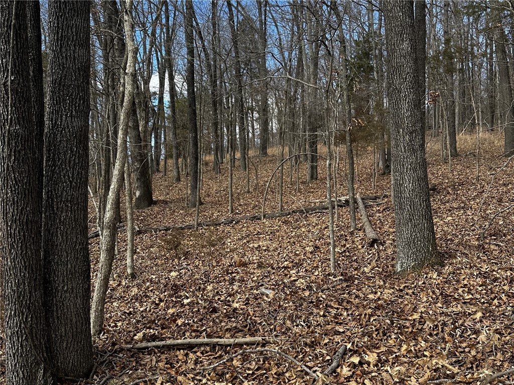 Horseshoe Bend Estate Rurban - Land