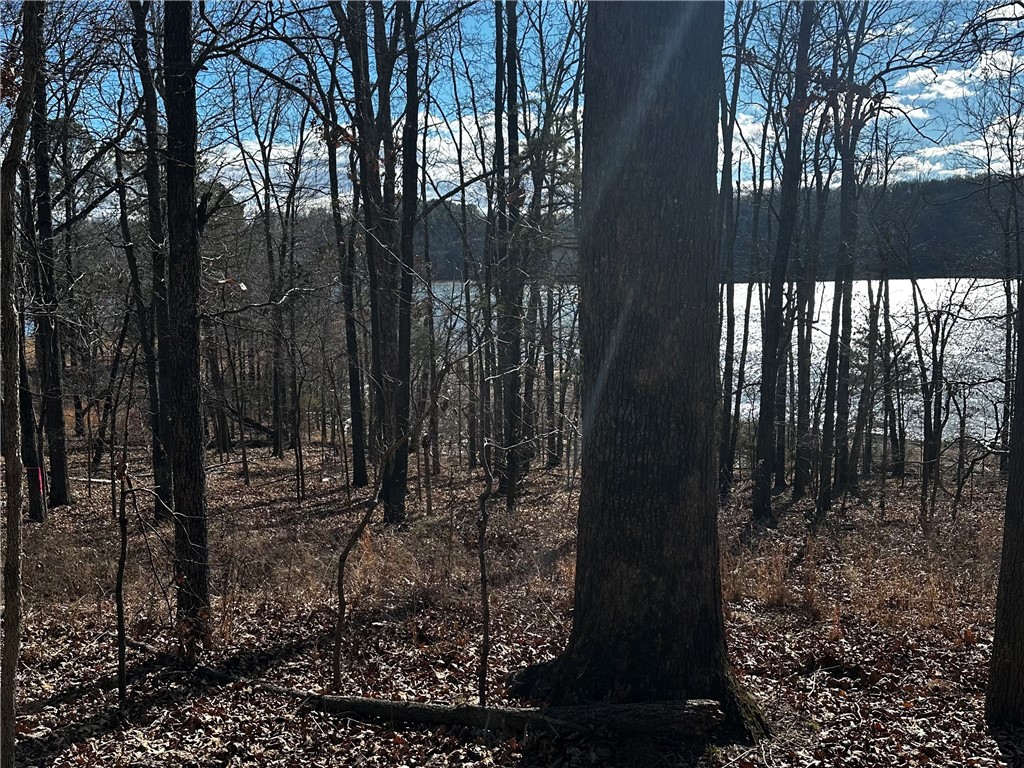 Horseshoe Bend Estate Rurban - Land