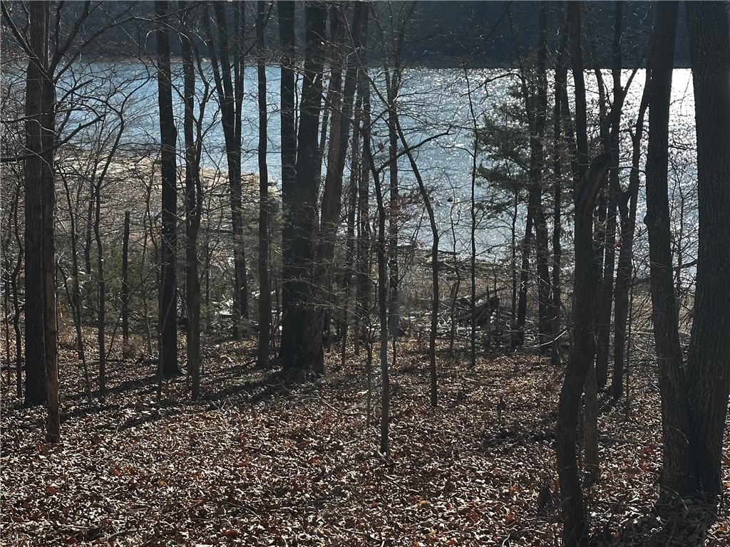 Horseshoe Bend Estate Rurban - Land