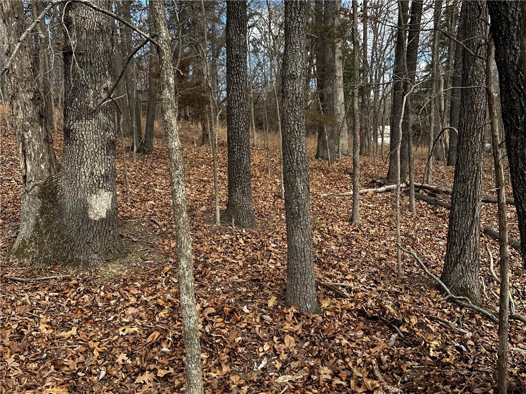 Horseshoe Bend Estate Rurban - Land