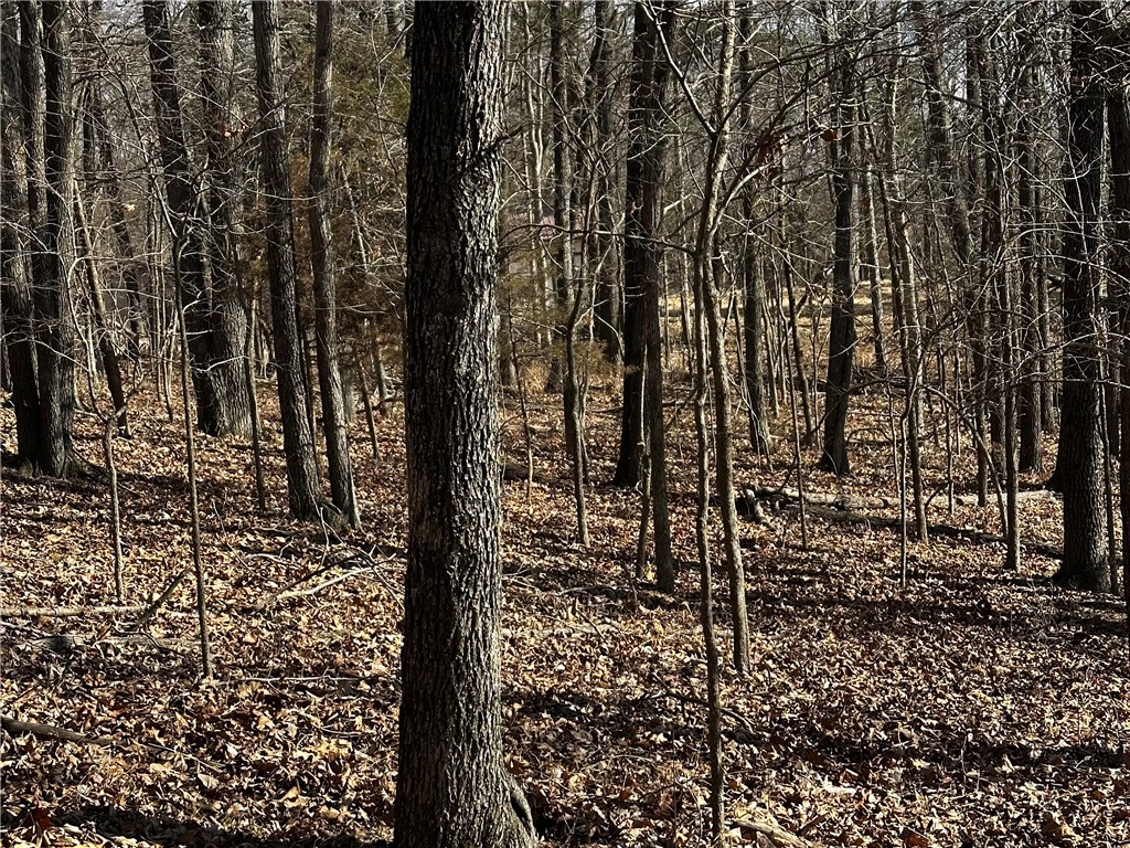 Horseshoe Bend Estate Rurban - Land