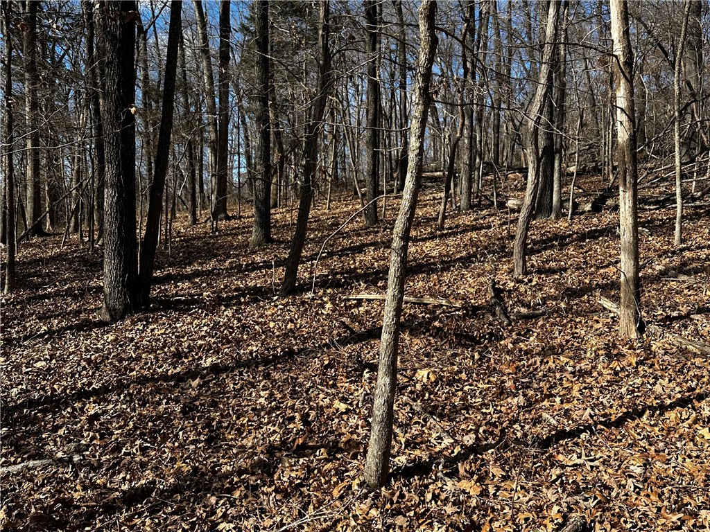 Horseshoe Bend Estate Rurban - Land