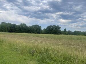 PROMINENT AND CHAMPIONING, this prime acreage is awaiting development. Excellent location--close to Highways 123, 64 (Main Street), and Highway 21. Level meadow offers a premier opportunity for the visionary. SEWER, WATER, ELECTRICITY available. Also offers FIBER OPTIC INTERNET! Zoning is flexible. NO FUEL-RELATED SALES.