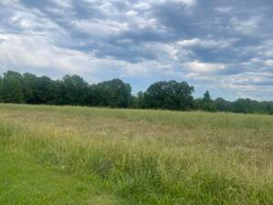 PROMINENT AND CHAMPIONING, this prime acreage is awaiting development. Excellent location--close to Highways 123, 64 (Main Street), and Highway 21. Level meadow offers a premier opportunity for the visionary. SEWER, WATER, ELECTRICITY available. Also offers FIBER OPTIC INTERNET! Zoning is flexible.  NO FUEL-RELATED SALES.