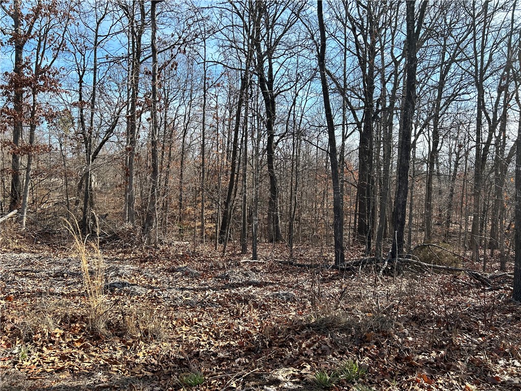 Great membership lot! Lot is unbuildable due to issues with the soil.