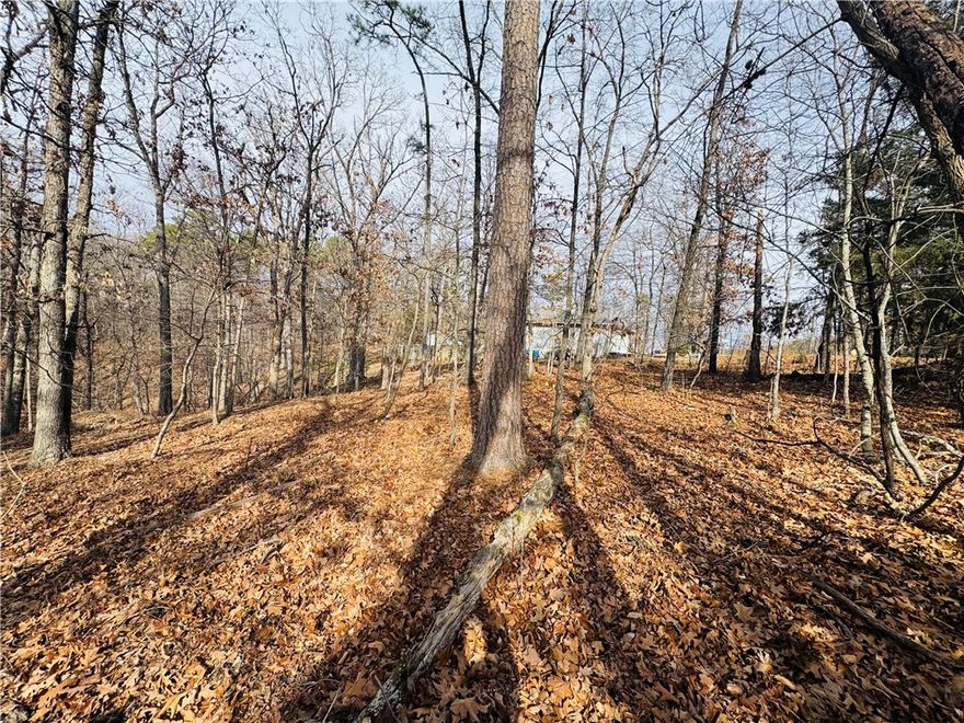 Fantastic building lot that is a 1/4 mile from the Back 40 Trail. Perk test is available.