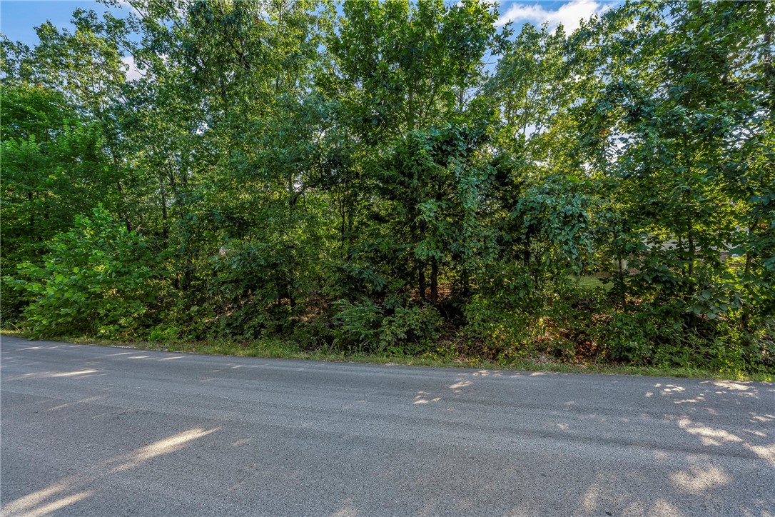 TRAILS ARE VERY CLOSE TO THIS LOT! In a nice neighborhood on a quiet street near Lancashire Blvd. Many trails are nearby (some just about 1/2 block). Also nearby: Lake Ann 2.3 miles; Metfield 3.8 miles with golf complex, swimming, clubhouse, skills park, fitness center. This location has easy access to Hwy 71; Bella Vista Bypass and I-49. Convenient to Bentonville; Pea Ridge; Missouri. Same owner has the adjoining residence for sale on .39 acre (ML#1316488).