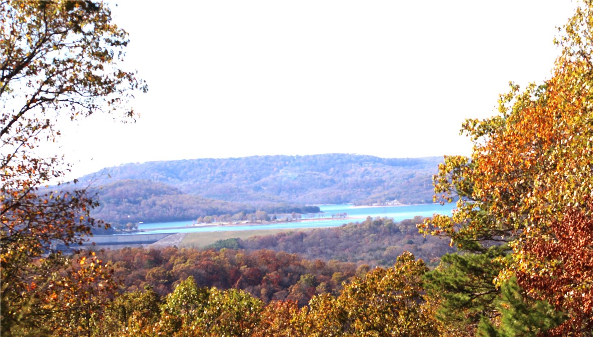 3.2 acres with very LEVEL building sites and a view of Beaver Lake and Dam. Also a level area for a shop or garden if preferred. Beautiful country subdivision with all tracts being around 3 acres . Underground electric in place already for your home. The best distant view is on the Western part of the property shows Beaver Dam and Beaver Lake. Only a few minutes drive from here to the Beaver Lake for boating, fishing, swimming, camping, and hiking. This is a fabulous piece of land! There is road sign but no name on it, This road divides the tract. This resale tract offers a lot of what you have been looking for. Privacy, a short distance in to Eureka Springs and also to Beaver Lake and good fishing at Houseman Access or below the Beaver Dam. Only a few homes here right now. Great location. Well has been drilled need pump,pipe,wire and control box.