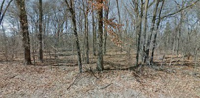 Great location and a level lot close to Highlands Country Club, Branchwood, & Scotsdale. The perfect place to build that new home you've been dreaming about. The NEW by-pass provides easy access to Bentonville & Missouri. Check it out Now!