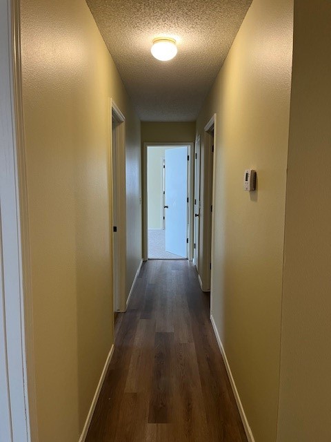 Forest Park - Residential Lease