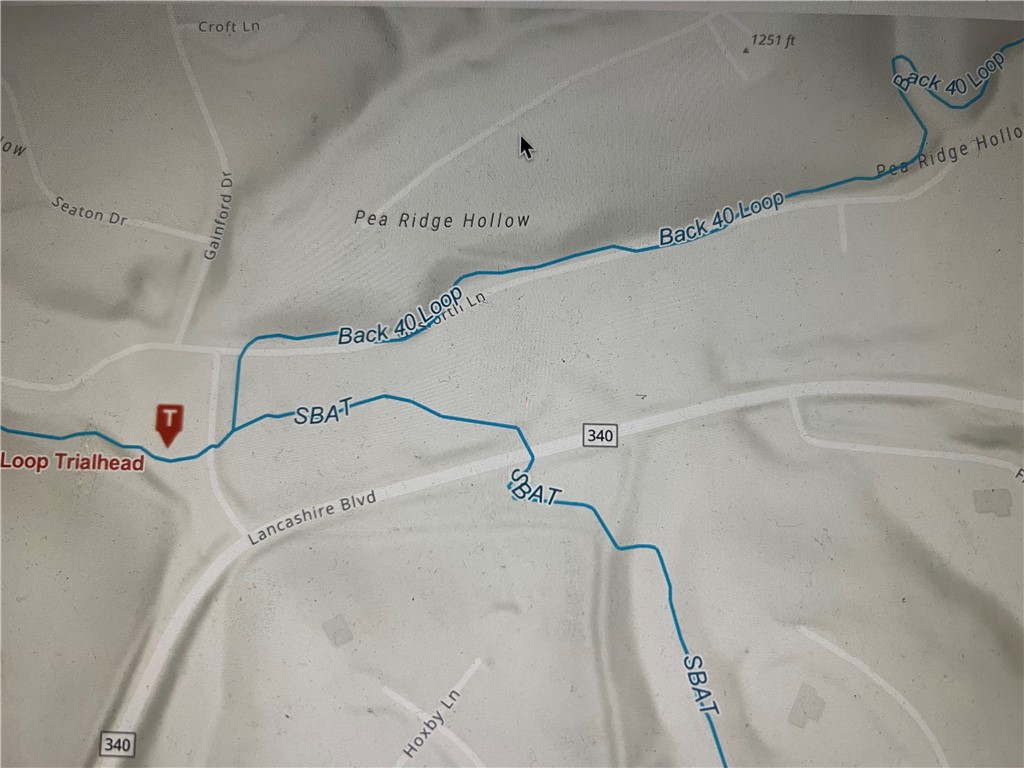 Large, .35 acres, Buildable lot ~300 feet from the SBAT-Back 40 Loop Trailhead!! Trailhead is snuggled into the subdivision and not on major roads making this lot's proximity especially cozy and accessible. The Back 40 Loop is a trail system very uniquely āBella Vistaā. It is known as the Gateway Trail for the East side of Bella Vista. The 21 mile Trail connects to dozens of trails, Blowing Springs Park and Amphitheater, an RV Park & Camp Ground. Additionally, Back 40 Lp winds around 4 Lakes and ends at the Razorback Greenway. Razorback Greenway is a 40 mile hard surface trail exploring 6 cities and downtowns, extending to Kessler Mt Park in Fayetteville. It has countless feeder trails for exploring each city and makes for excellent bike access to events, dining & more. These advanced trail system & progressive planning throughout NWA has firmly established Benton Co as the undisputed Mt Bike Capital of the World and Bella Vista its crown jewel! Recreation, Resort Sale Living & its in the Ozarks!