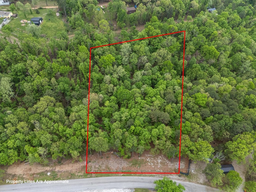 Tanglewood Resort 1 Rurban - Land