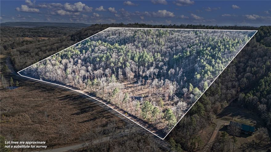 34 +/- acres off of SR 164 W is now available! This diamond in the rough has a lot of potential just waiting on a Buyer with vision to come along. This property is within minutes of the Ozark National Forest, Piney Creek, Mack's Pines, Long Pool Swimming Area, & downtown Dover, AR making it the perfect spot for a base camp. Or, take advantage of the abundant wildlife in the area and never leave the place! Enjoy the peace of rural Arkansas living without sacrificing a short trip back to the city.