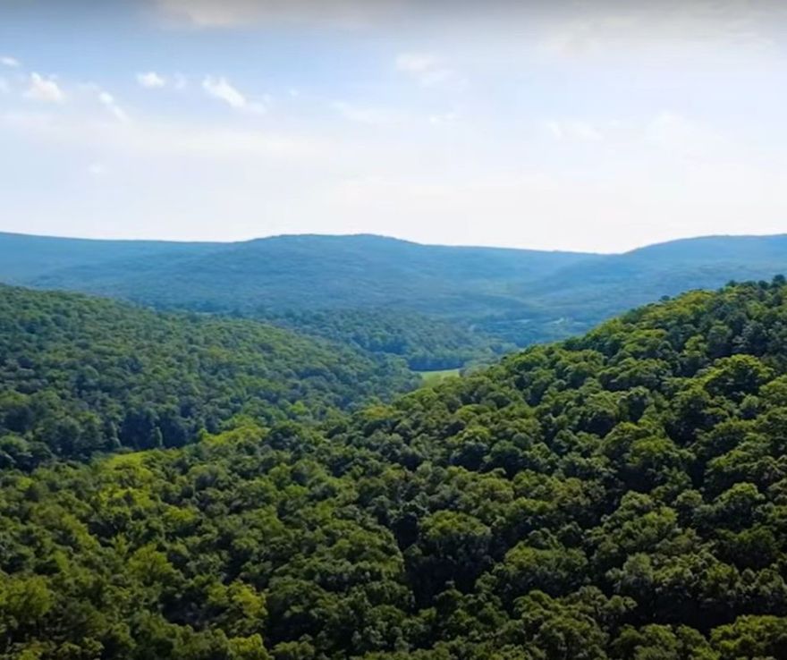 This is some of the most breathtaking land in all of Newton County! This rare 140± acre tract features stunning bluff views, peaceful lakes, and even a state-mapped cave and natural land bridge—truly a one-of-a-kind property. With three drilled water wells ready for use, excellent county road frontage, and an established network of roads and trails, the property is well maintained and easily accessible. Wildlife is abundant, including bear, whitetail deer, and turkey, making it ideal for hunters or nature lovers. There are multiple prime building sites throughout the property, each offering million-dollar views and ultimate privacy. Located off CR 1800, just south of Hwy 412 and northeast of Kingston, this parcel offers seclusion without sacrificing convenience. Whether you're looking to build, hunt, invest, or escape, this property checks every box. Additional acreage is available. Don't miss this opportunity to own a premier piece of the Ozarks.