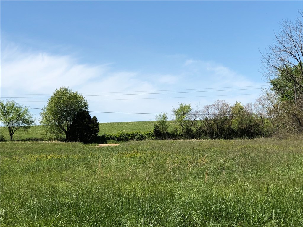 Nice level 3 acre lot.