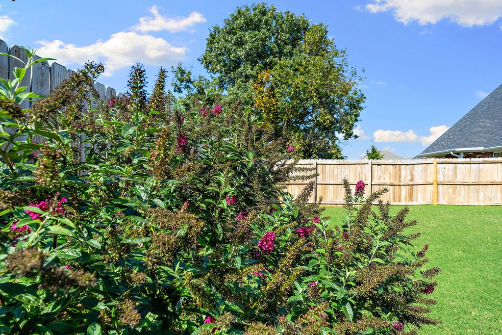 Blueberry Heights - Residential
