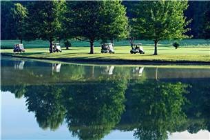 Metfield Courts Bvv - Residential