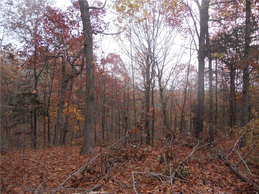 Great 10 acres , all wooded with building sites with easy access off of county road, rural water and electric available, short drive into Harrison or to the Buffalo River, more land available.