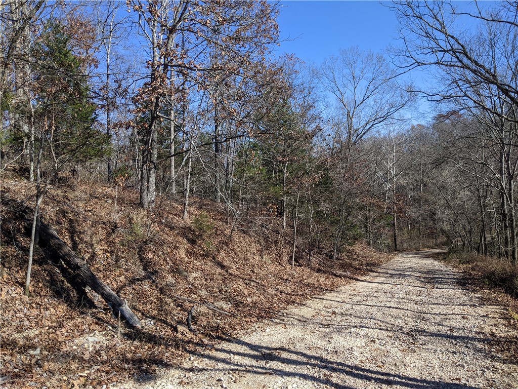 Lot on Murphy drive, Close to the Down Under trail. The lot is very steep.