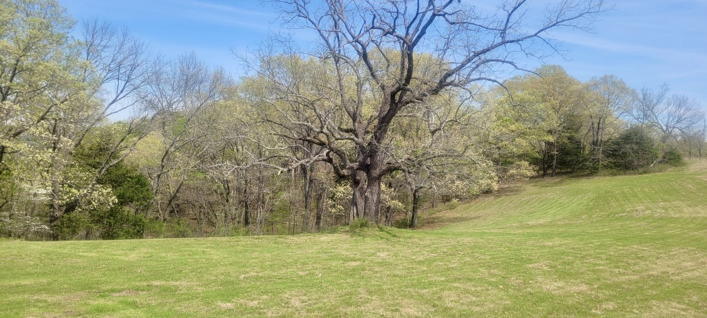 Vista View Estates - Land