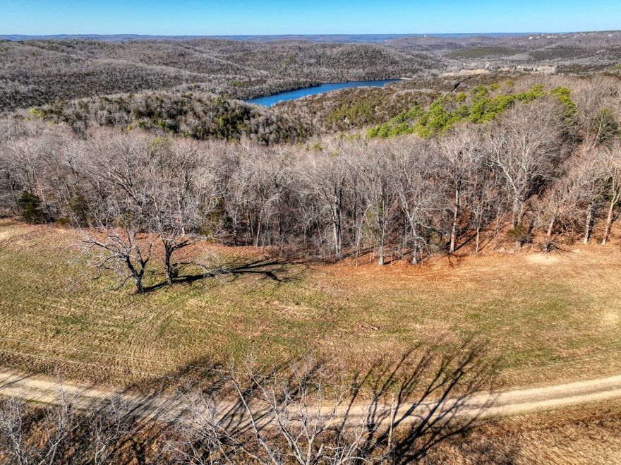 This is a rare opportunity to own a lot that overlooks Lake Leatherwood! It’s difficult to find buildable land with a year-round view of Leatherwood but this 3+ acre piece has it, plus a view of the dam! Building your future home will be easy with electricity and city water at the street. This lot is easy to get to on mostly paved roads, while still giving you the feeling of being out in the country, and large subdivision lots preserve your future privacy! Eureka Springs is only around 2 miles away so you will have quick access to all of its fantastic restaurants, events, and amenities!