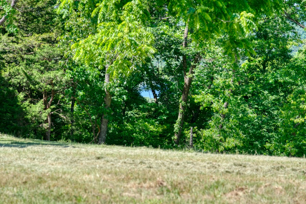 Vista View Estates - Land