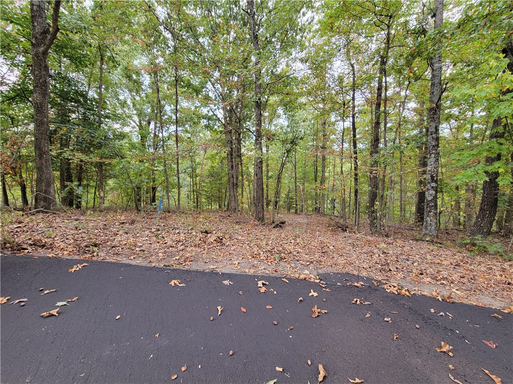 This large lot (.51 ac) sits on a very peaceful and private cul-de-sac. It has a very mild slope on the front 1/3 of the lot and is nicely shaped, making it a great site to build your new home. The seller has had a perc test done recently. The results show 375' of lateral lines needed for a 3-bedroom septic and 250' of lateral lines needed for a 2-bedroom septic. This lot is located in close proximity to the Highlands golf course/clubhouse and the Branchwood recreation center with all of its offerings, including pickleball courts.