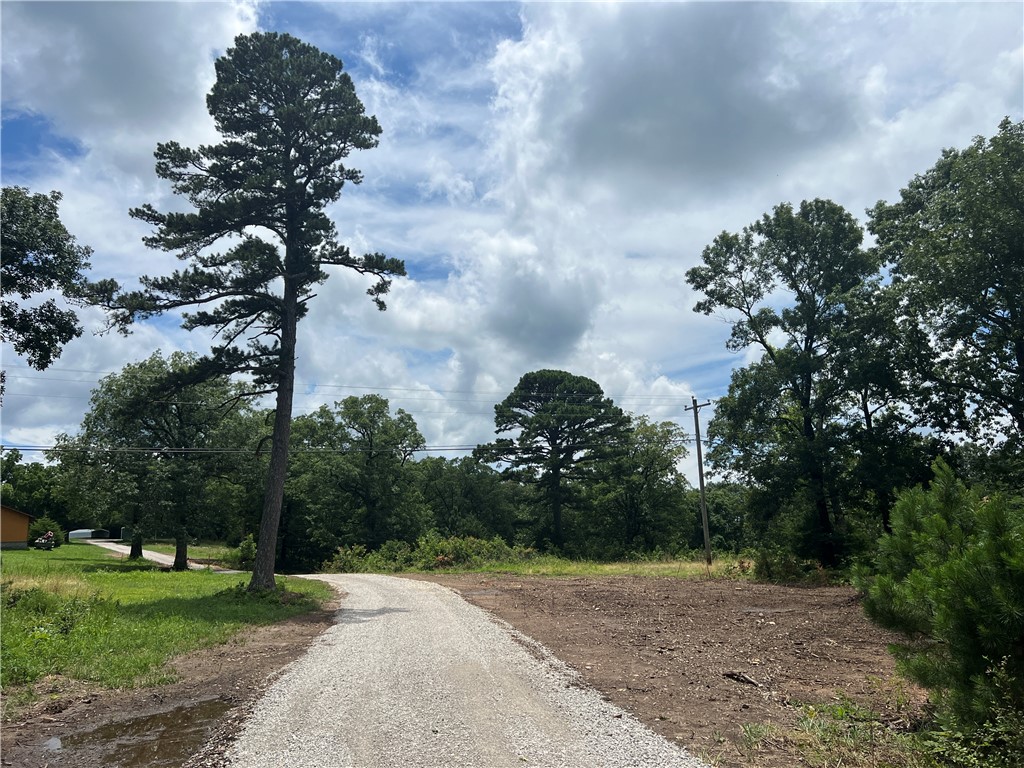 Location, location, location! Rare opportunity to own 55.75 acres of quality developable property with 1/3 mile frontage on Hwy 23. Amenities include grocery shopping, restaurants, banking, hardware, fire and police protection, gas, a convenience store and more are located next door. Only 5 miles to Eureka Springs and 4.5 miles to the Holiday Island Marina. Mixed topography with flat pasture, flat wooded areas and many outstanding rock outcroppings. Incredible south facing views including Lake Leatherwood. The perimeter is mostly fenced with roads throughout the property (some require 4WD) There is a 32 x 20 metal building and carport and electric is available on property. This is an awesome opportunity for development or to build your own country estate "in town."