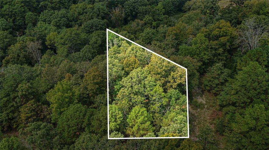 A fairly level lot located in the Bella Vista POA, Sellers have no knowledge regarding utilities being available (septic vs sewer, etc.) Please contact the POA to satisfy any concerns or restrictions pertaining to the lot - approximately .34 of an ac mol, READY for new construction for your dream or flip project! Call today!