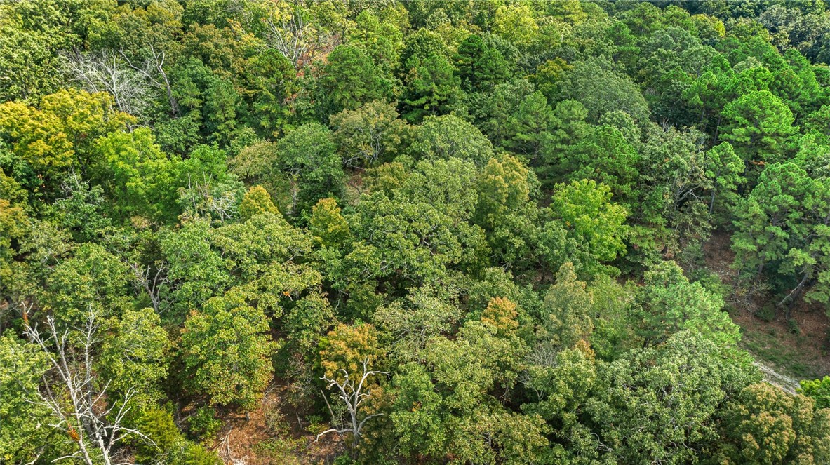 Northumberland Sub Bvv - Land