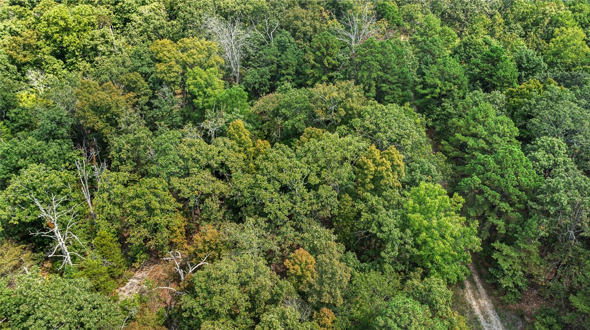 Northumberland Sub Bvv - Land