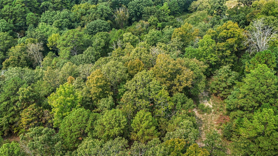 Northumberland Sub Bvv - Land