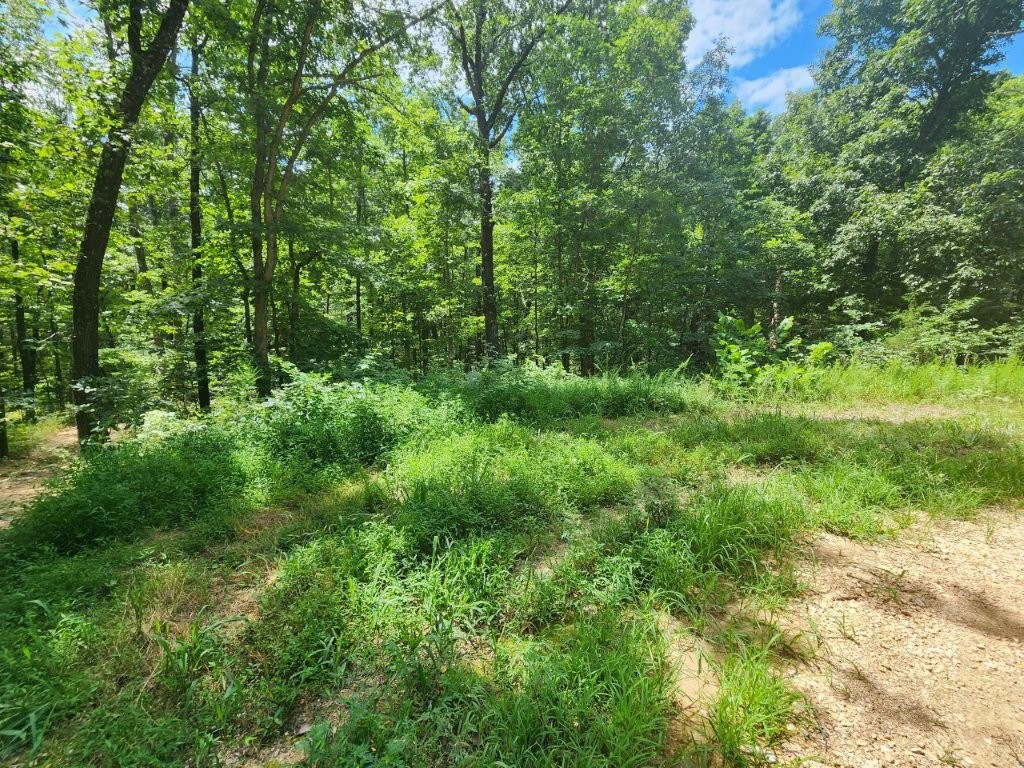 Looking for instant access to the Back 40 Bike Trail? This .32-acre lot offers direct trail access less than 100ft southeast of the back of the lot through POA land. Ride straight into one of Bella Vista’s premier trail systems from your own backyard! With the Taylor Homestead trail access located just .3 miles away, this lot is perfect for outdoor lovers. Enjoy Bella Vista amenities including 7 lakes, multiple golf courses, rec centers with pools and gyms, tennis, pickleball, and more—all surrounded by the stunning beauty of the Ozarks. Whether you're building your adventure basecamp or peaceful retreat, this lot is a rare find!