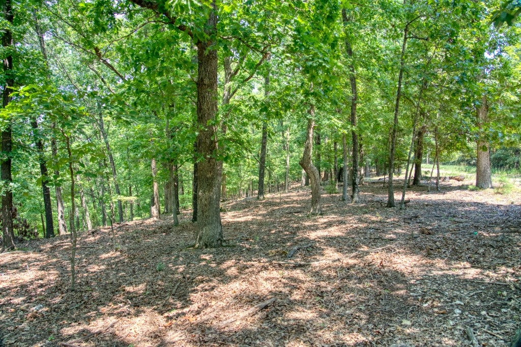 Sherwood Forest - Land