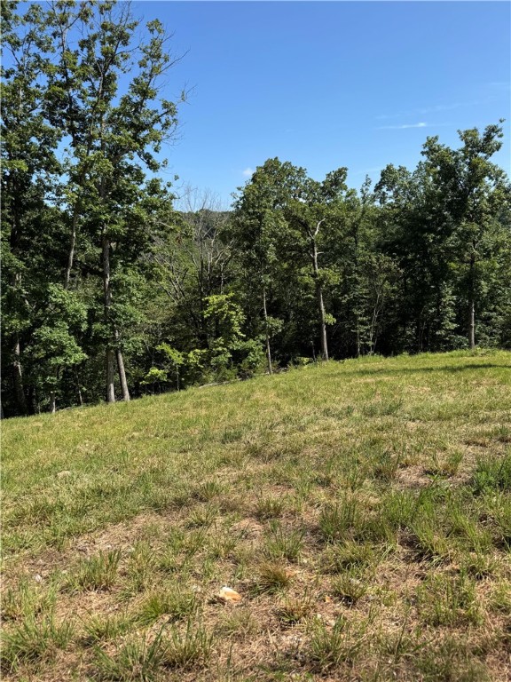 Looking for Pea Ridge schools? Beautiful 25.4 acres within half an hour of Rogers/Bentonville. Property consists of two parcels totaling 25.4 acres. Rural water and electric available at the street. Pea Ridge School District. Gorgeous building sites with plenty of woods for hunting or exploring. Gravel entrance to the land. Must see! No seller disclosure, but there is a perk test that was done.