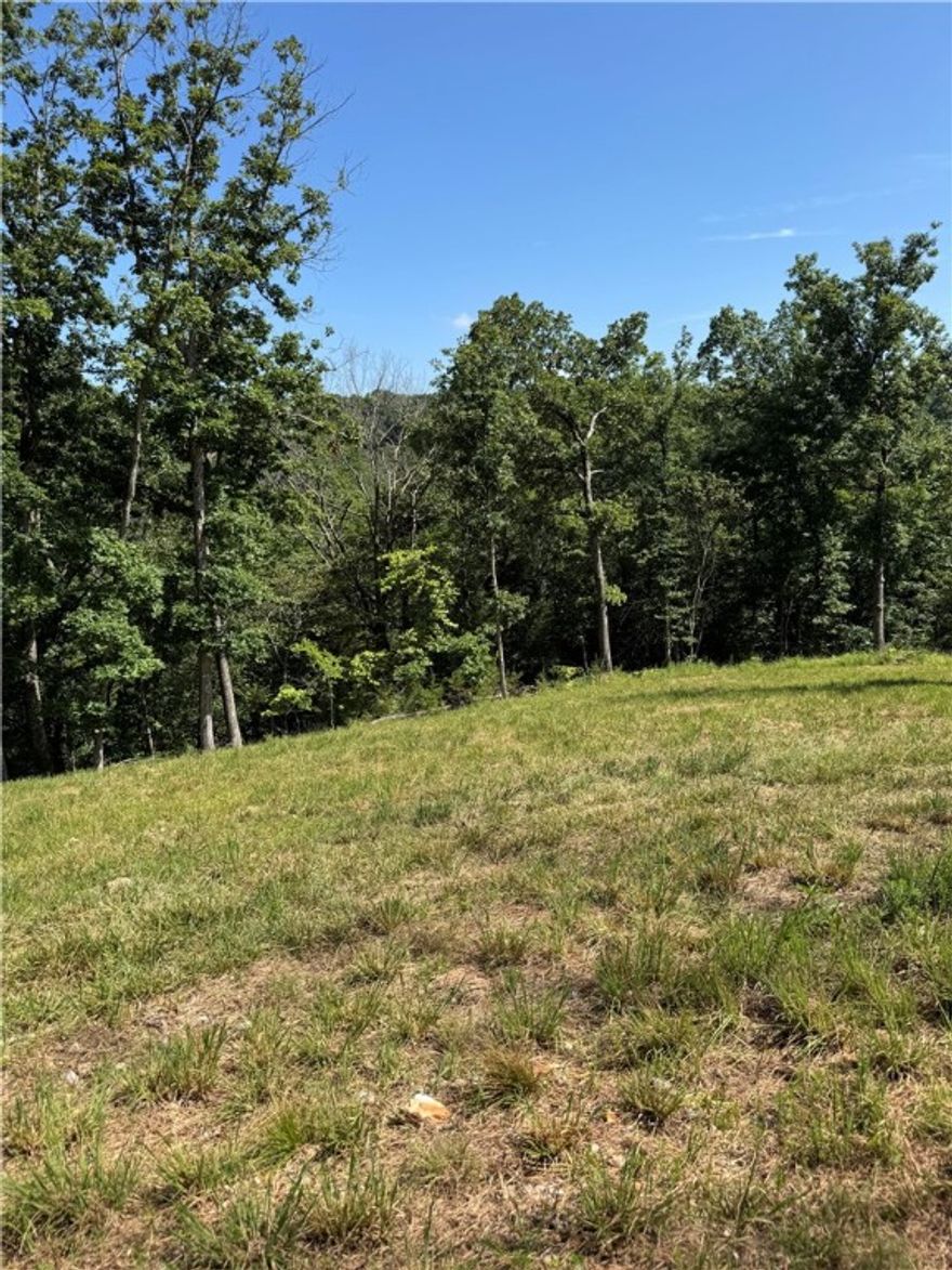 Looking for Pea Ridge schools? Beautiful 25.4 acres within half an hour of Rogers/Bentonville. Property consists of two parcels totaling 25.4 acres. Rural water and electric available at the street. Pea Ridge School District. Gorgeous building sites with plenty of woods for hunting or exploring. Gravel entrance to the land. Must see! No seller disclosure, but there is a perk test that was done.
