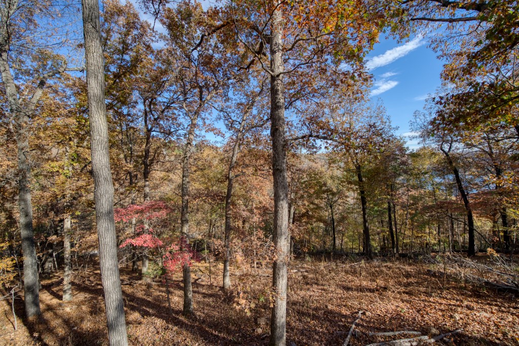 Lake Forest Acres #2 - Residential