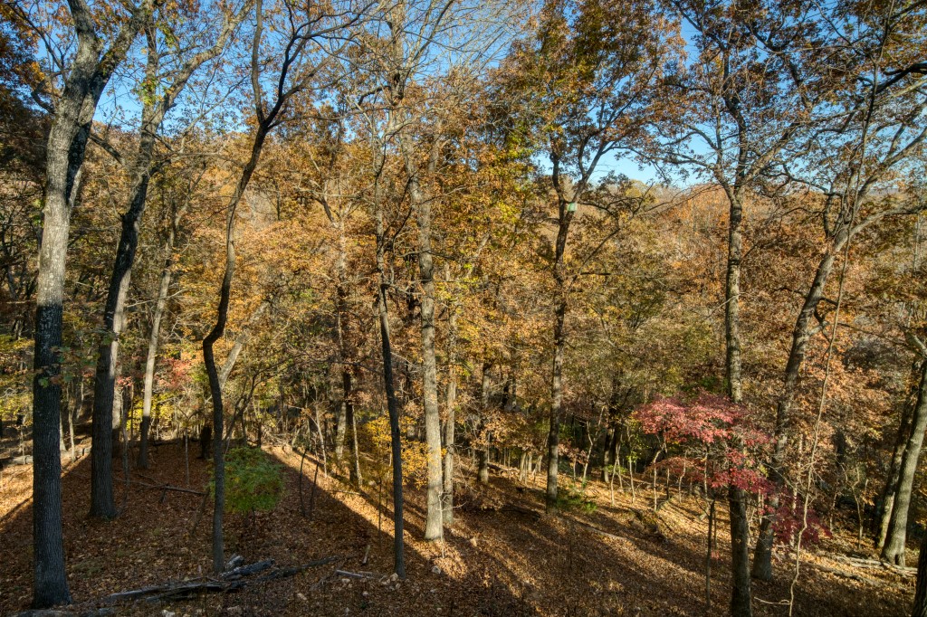 Lake Forest Acres #2 - Residential